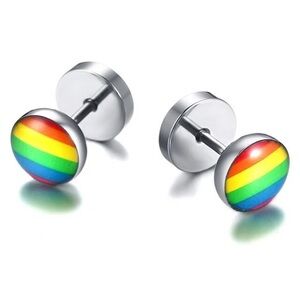 Rainbow Striped hypoallergenic Stud Earrings, Rainbow Pride.